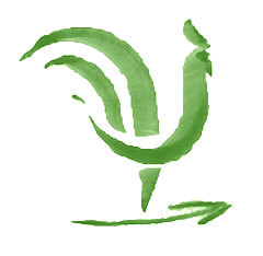00 Logo Bruno Vert Flêche En Haut
